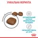 Корм для кошек ROYAL CANIN URINARY CARE 2.0 кг, рекомендованный для поддержания здоровья мочевыводящих путей