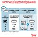 Корм для новорожденных собак ROYAL CANIN MINI STARTER 8 кг, 8 кг