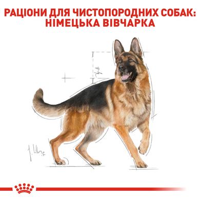 Корм для взрослых собак породы Немецкая Овчарка ROYAL CANIN GERMAN SHEPHERD ADULT 11.0 кг, 11 кг