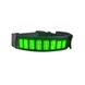 Нашийник для собак і котів з LED екраном Bluetooth Pet LED Collar - зелений