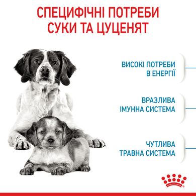 Корм для цуценят середніх порід ROYAL CANIN MEDIUM STARTER 1.0 кг, 1 кг