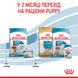 Корм для цуценят середніх порід ROYAL CANIN MEDIUM STARTER 1.0 кг, 1 кг