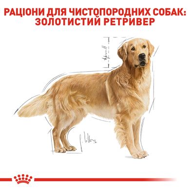 Корм для дорослих собак породи Золотистий ретривер ROYAL CANIN GOLDEN RETRIEVER ADULT 12.0 кг, 12 кг