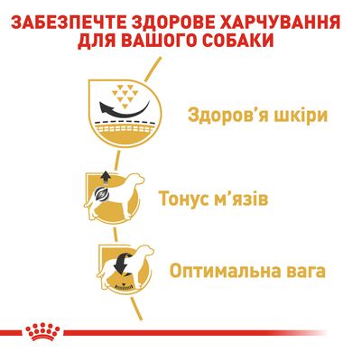 Корм для дорослих собак ROYAL CANIN PUG ADULT 3.0 кг, 3 кг