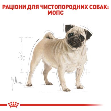 Корм для взрослых собак ROYAL CANIN PUG ADULT 3.0 кг, 3 кг