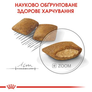 Корм для собак ROYAL CANIN MINI EXIGENT 3.0 кг – сухой корм для требовательных собак мелких пород, 3 кг