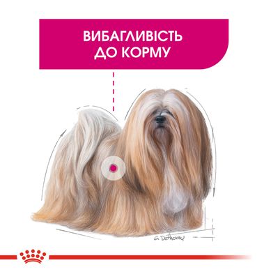 Корм для собак ROYAL CANIN MINI EXIGENT 3.0 кг – сухой корм для требовательных собак мелких пород, 3 кг