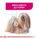 Корм для собак ROYAL CANIN MINI EXIGENT 3.0 кг – сухий корм для вибагливих собак дрібних порід, 3 кг