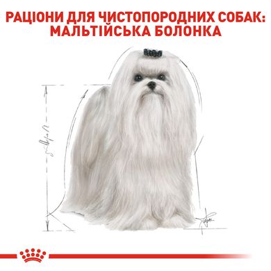 Корм для взрослых собак породы Мальтийская болонка ROYAL CANIN MALTESE ADULT 1.5 кг